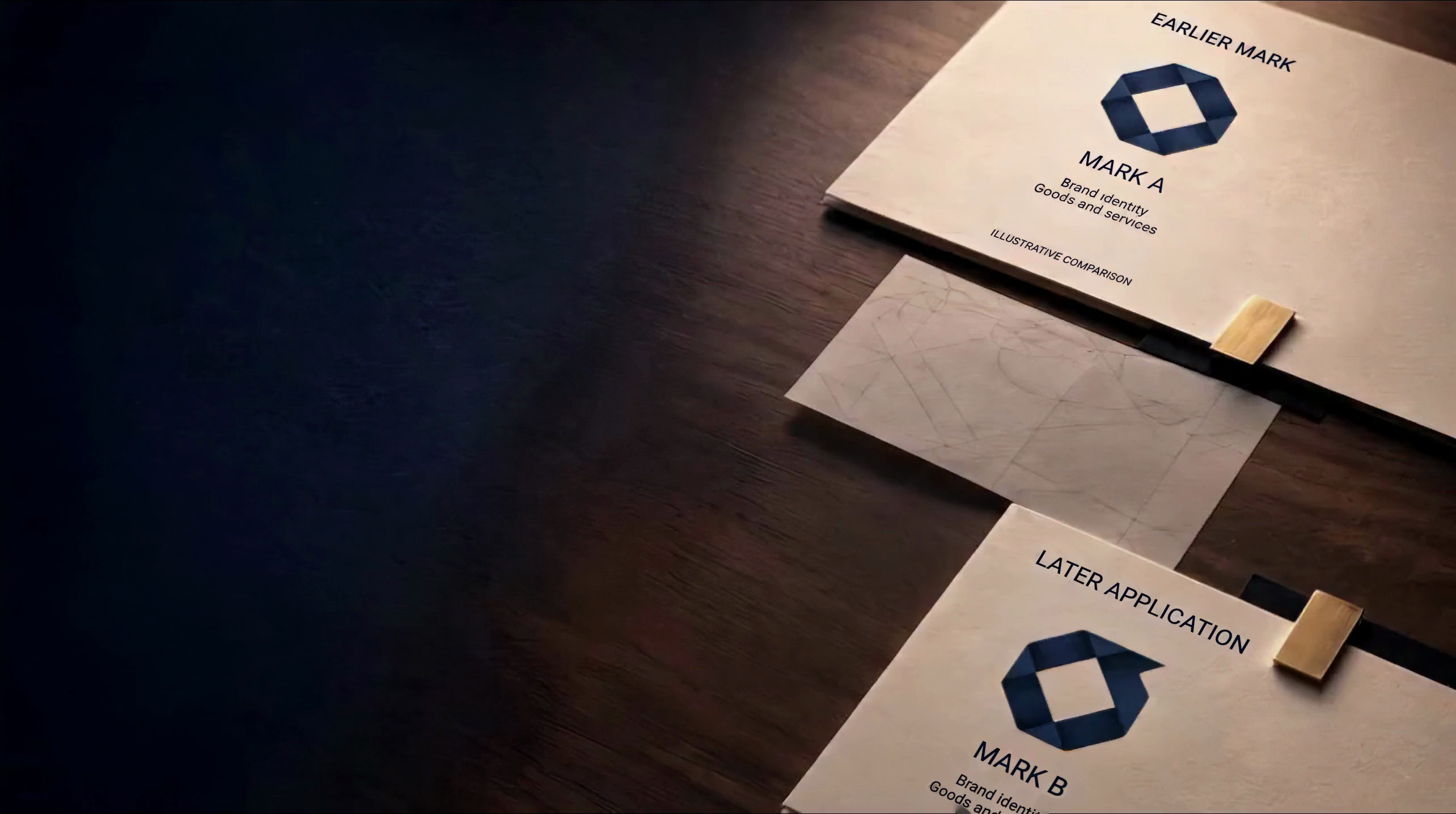 Two illustrative opposing brand documents and their related evidence